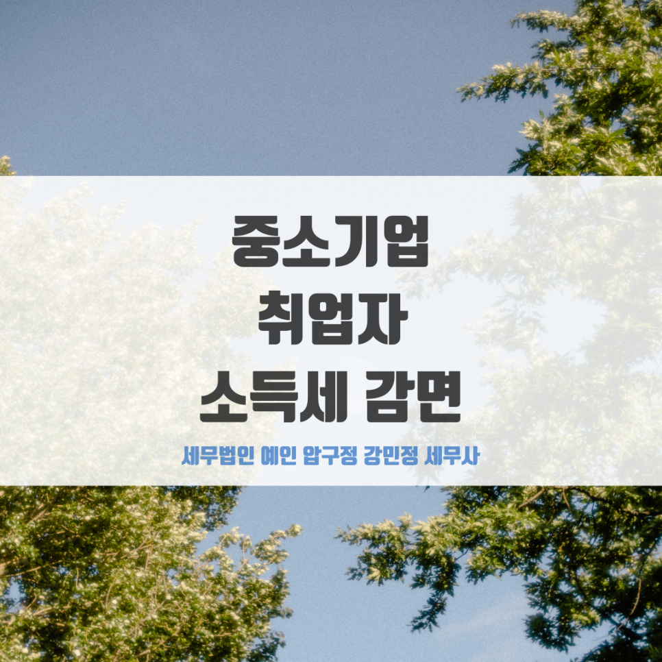 세무법인예인압구정 이미지
