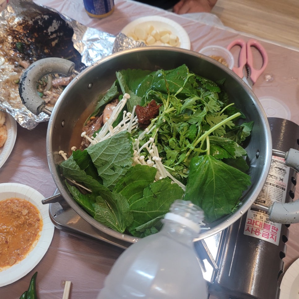 돌고래풀하우스 이미지
