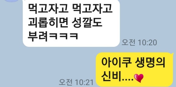 도도운수 이미지