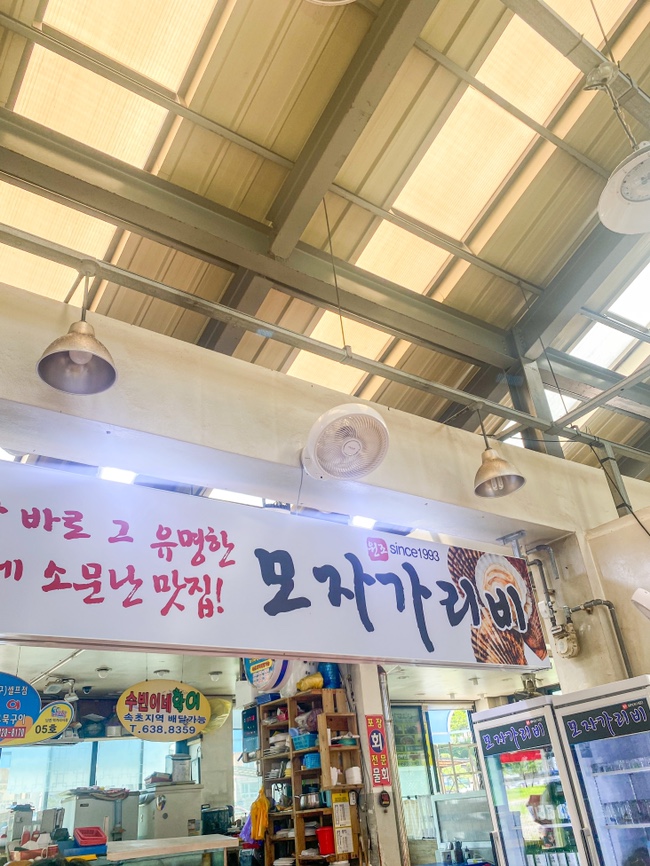 모자가리비 이미지