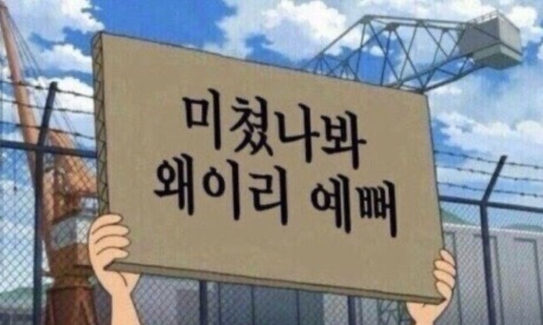 콤마에이치 이미지