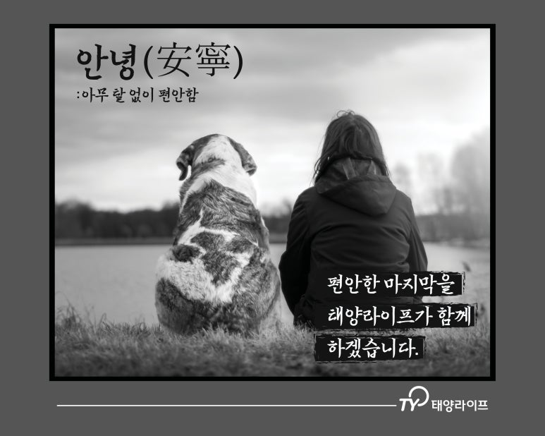 태양라이프 이미지