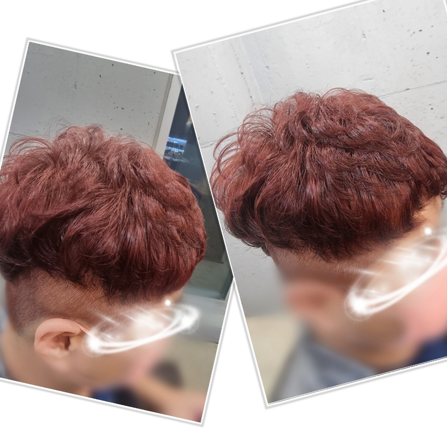 란훈빠마 이미지