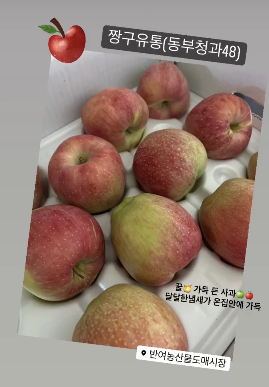 짱구청과 이미지