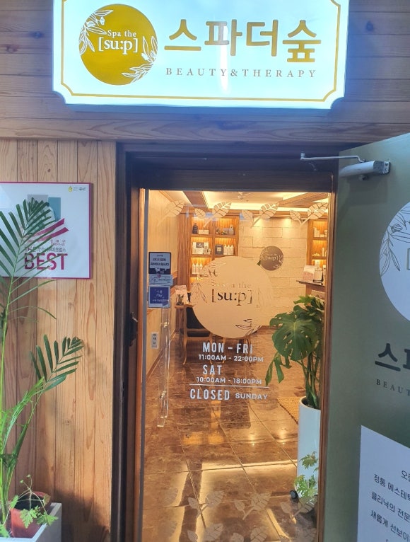 스파더숲 이미지