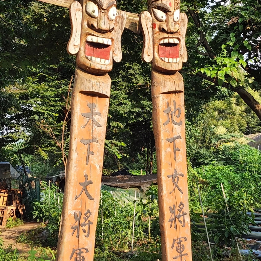 정장군 이미지