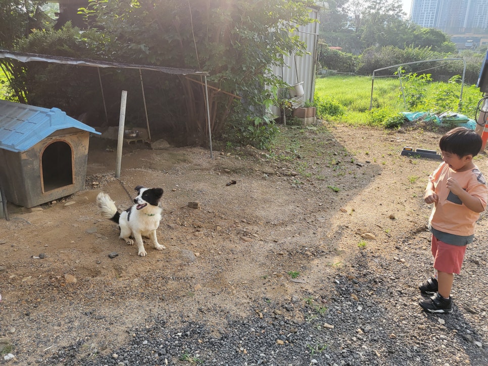 찬우물버섯농장 이미지