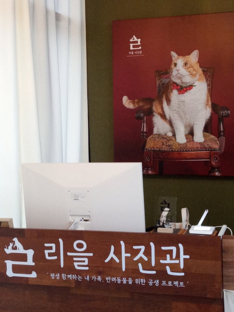리을사진관 이미지