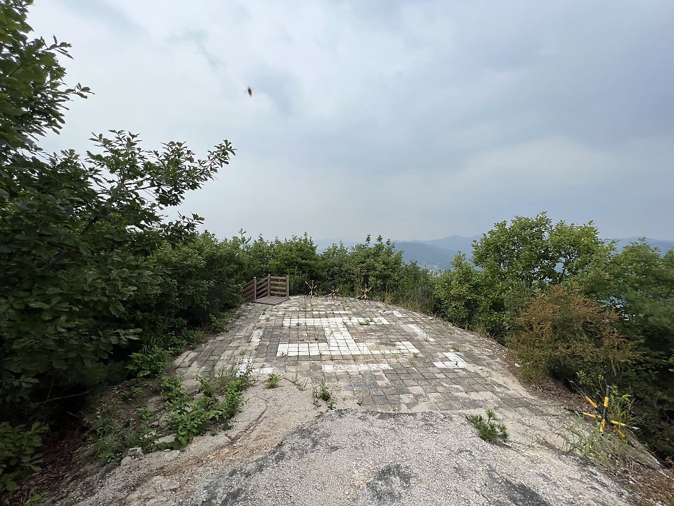 샛별초등학교 이미지