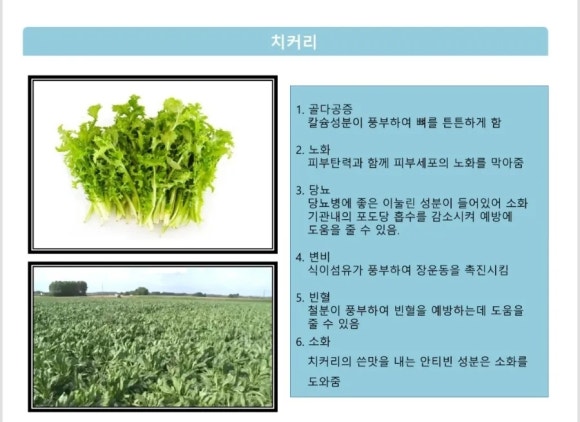 더샵짱 이미지