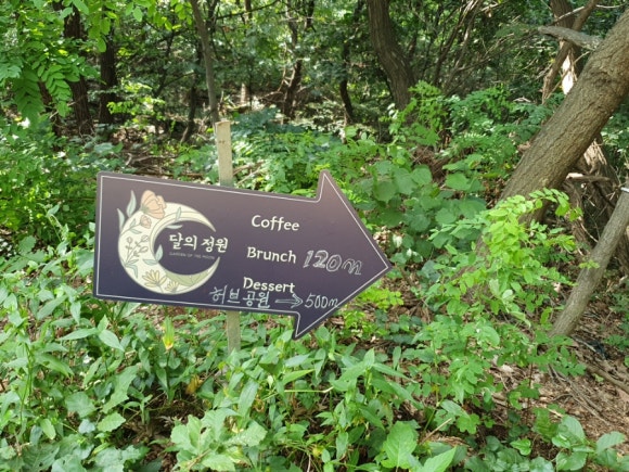 달의정원 이미지