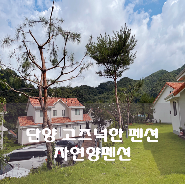 자연향펜션 이미지