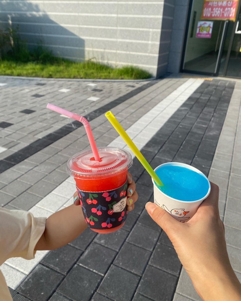 오렌지팟 이미지