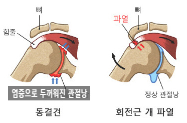 동광한의원 이미지