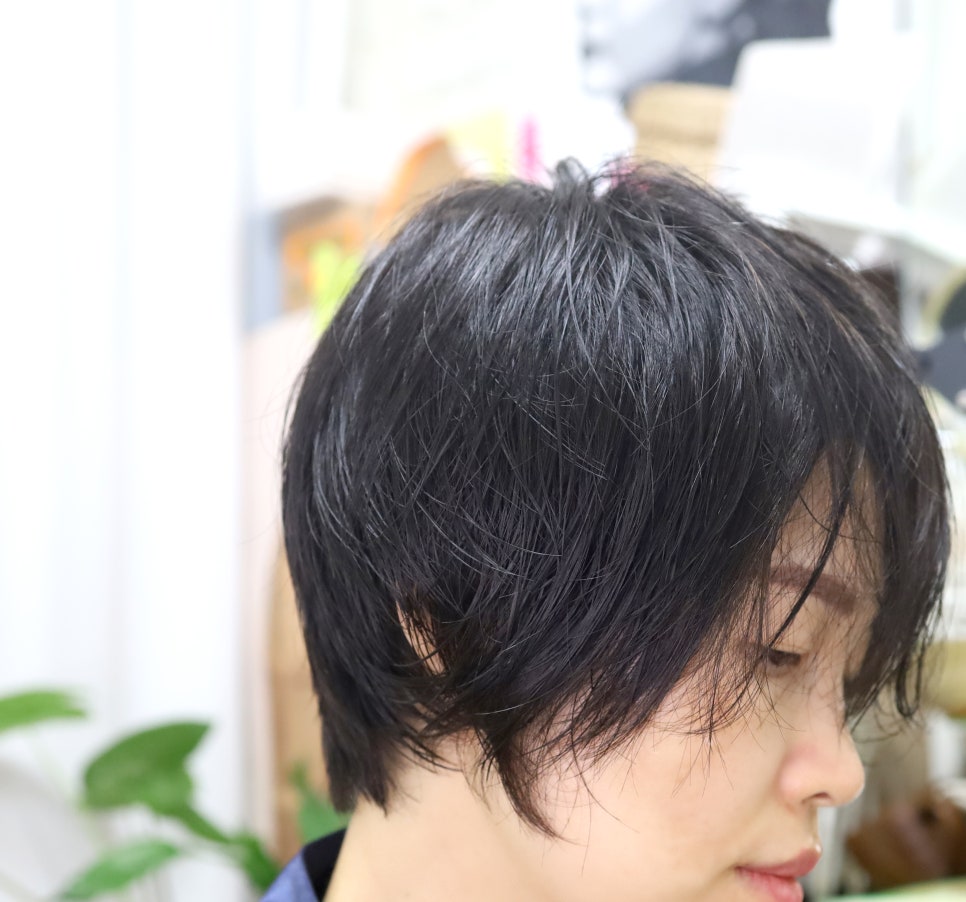 피앤케이플러스 이미지