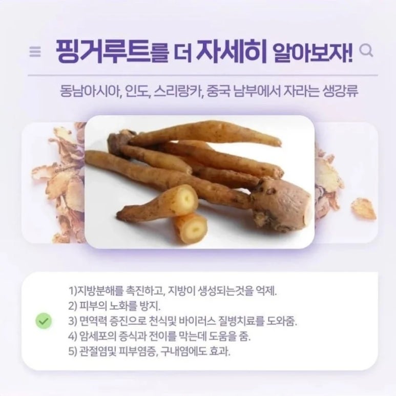 더샵짱 이미지