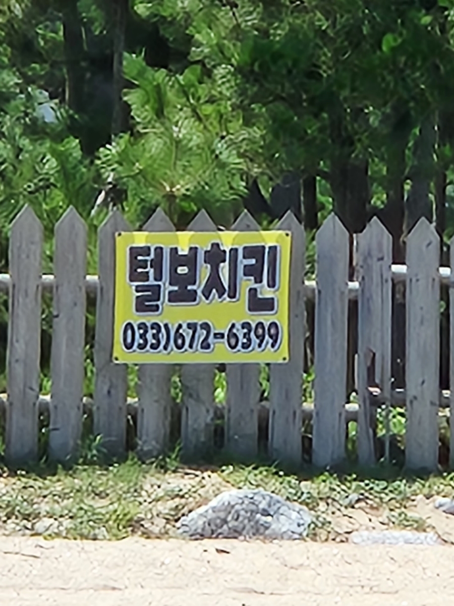 낙산털보치킨 이미지