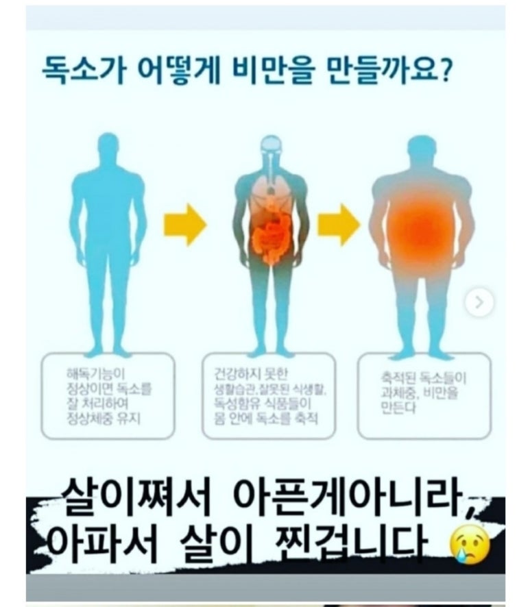 더샵짱 이미지
