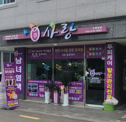 수원큐사랑염색 이미지