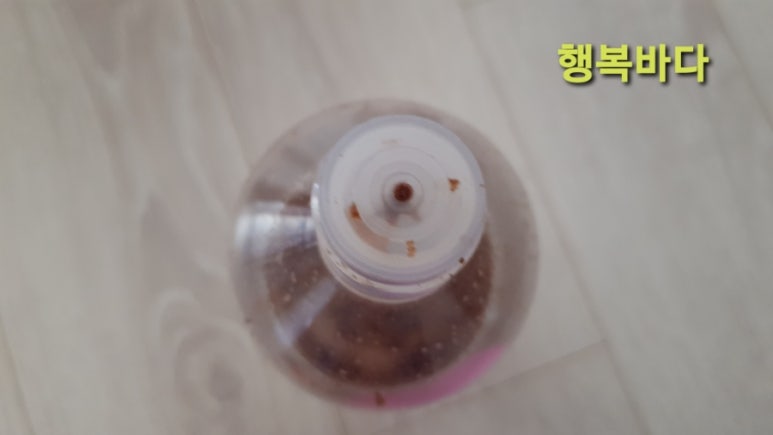 로즈에잇 이미지