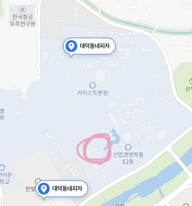 대덕동네피자 이미지