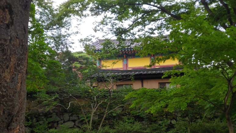 아름다운 산책 이미지