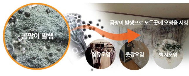 청ENG 이미지