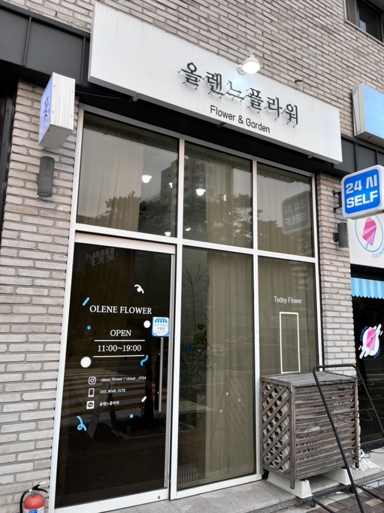 올렌느플라워 이미지