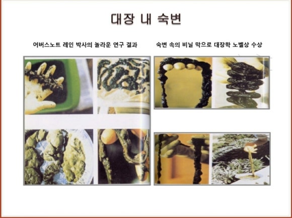 더샵짱 이미지