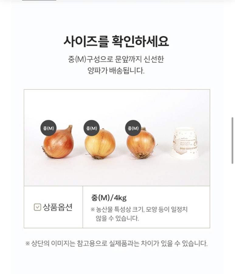 당진시농협해나루조합공동사업법인 이미지