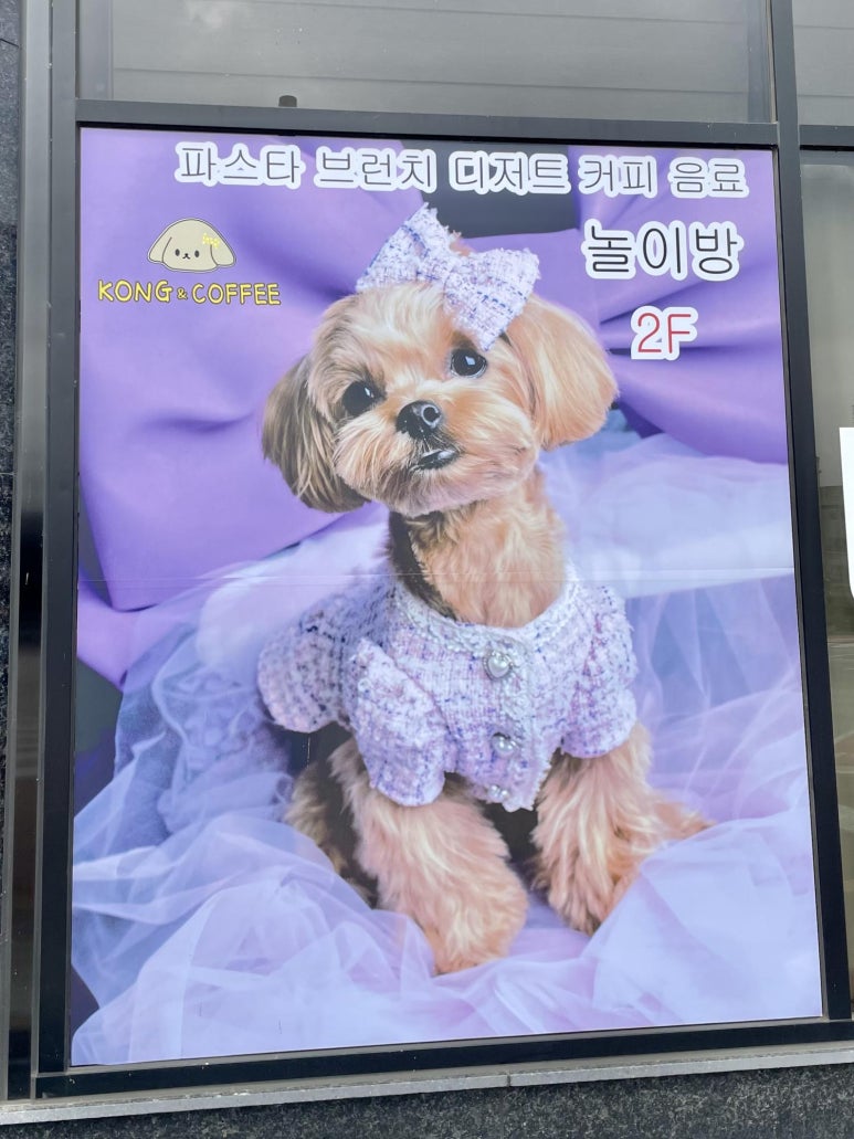 카페콩 이미지