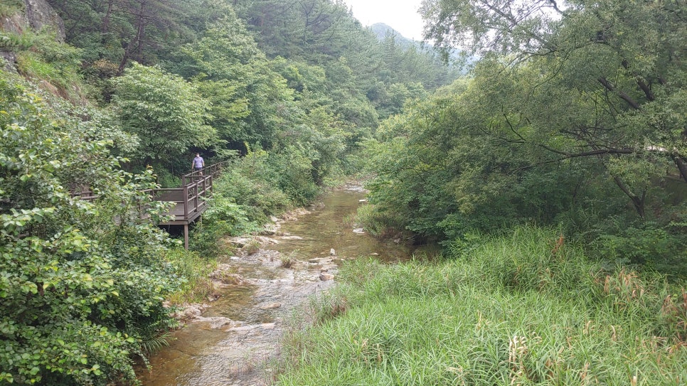 아름다운 산책 이미지