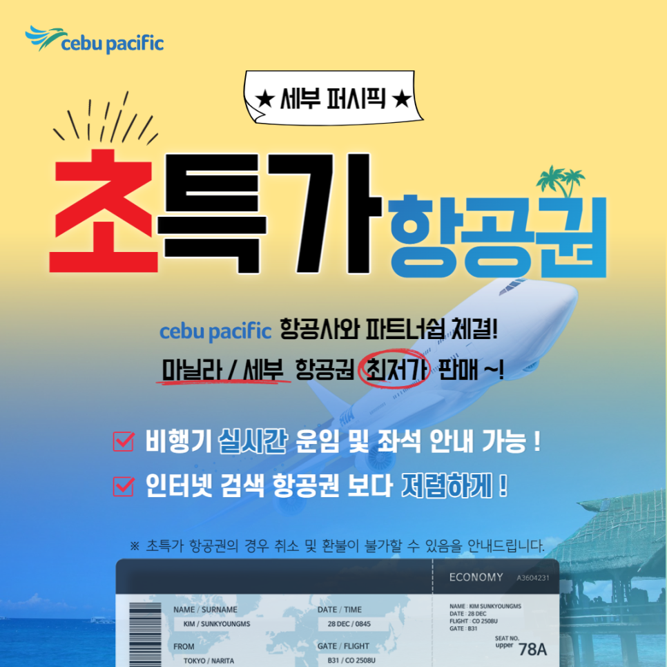 주식회사 스카이여행사 이미지