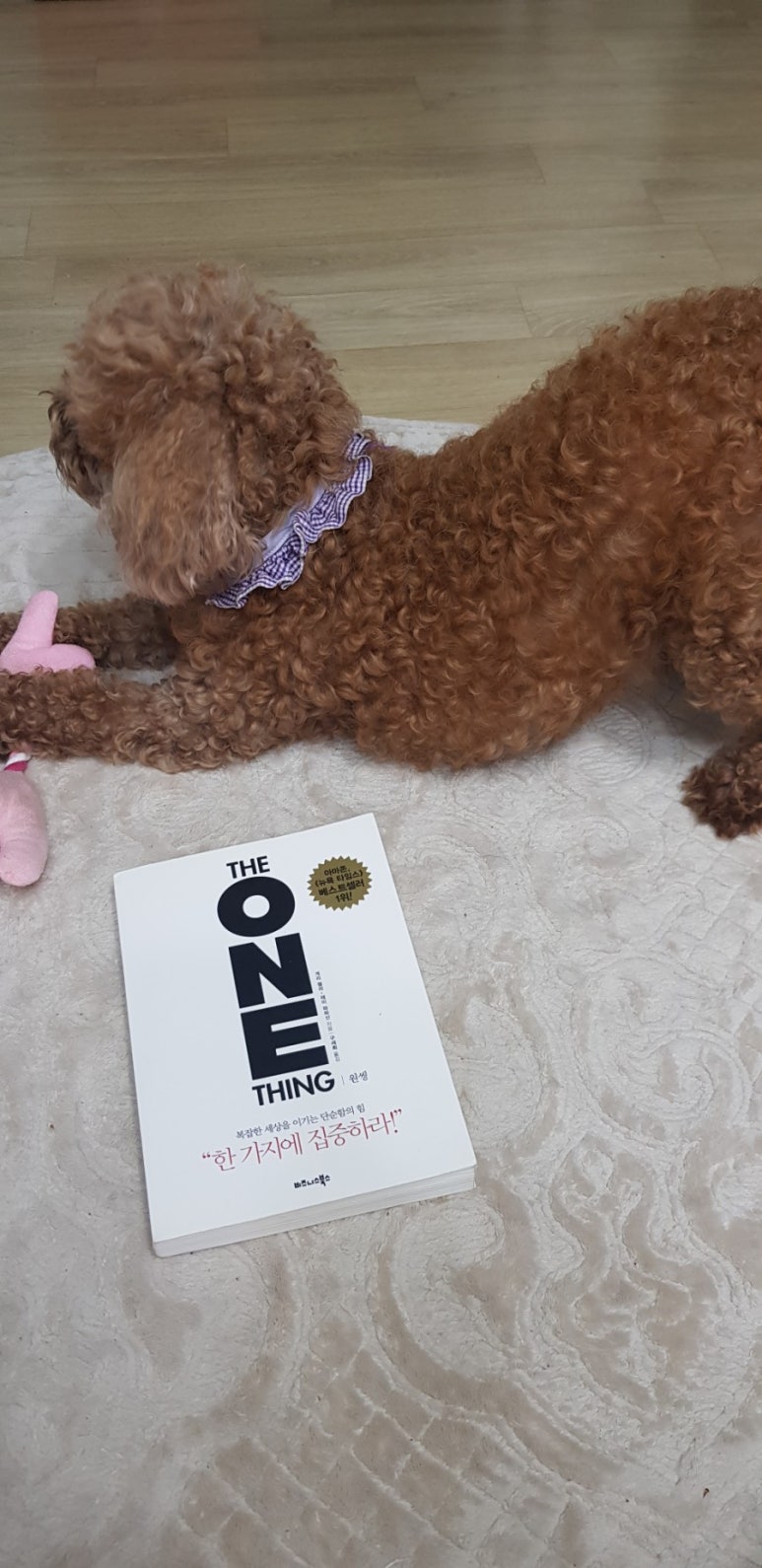 이피엘영어학원 이미지