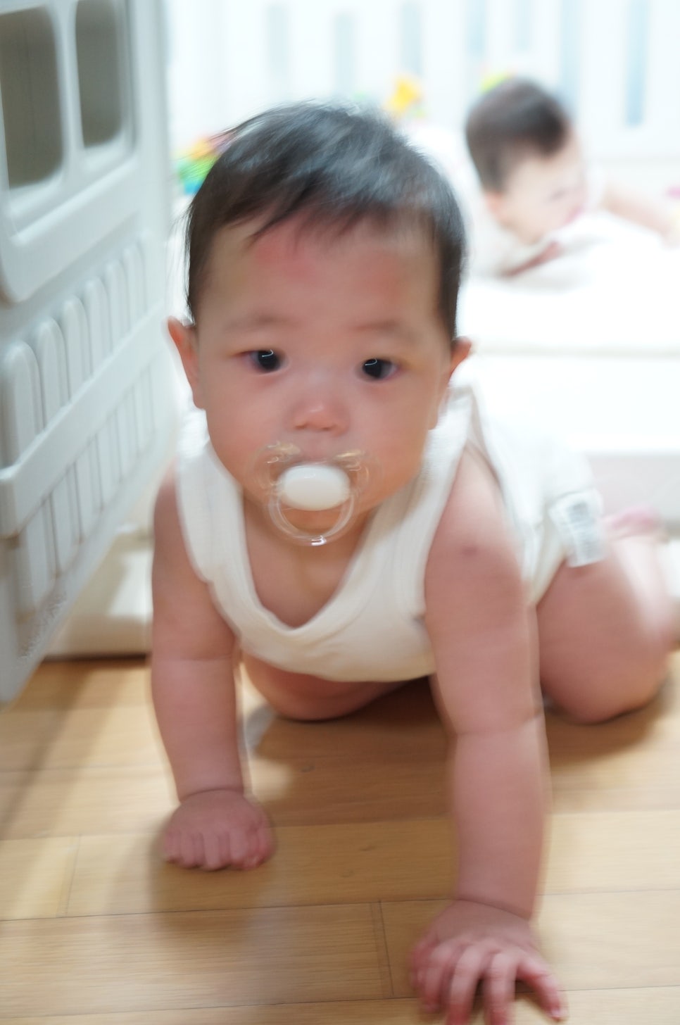 모도리베이비 이미지