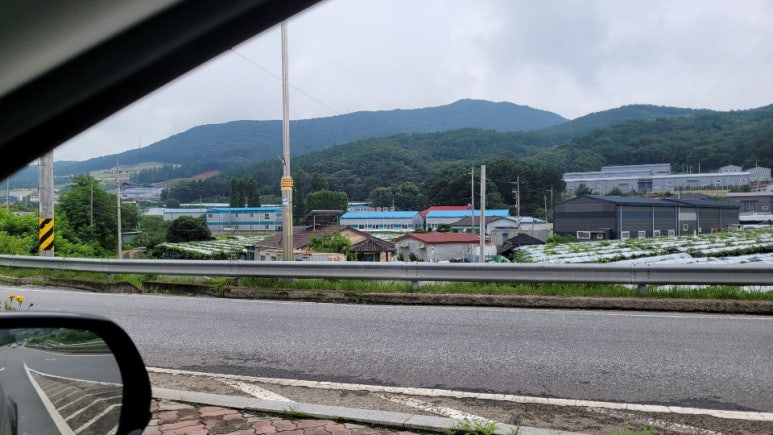 고향송어닭집 이미지