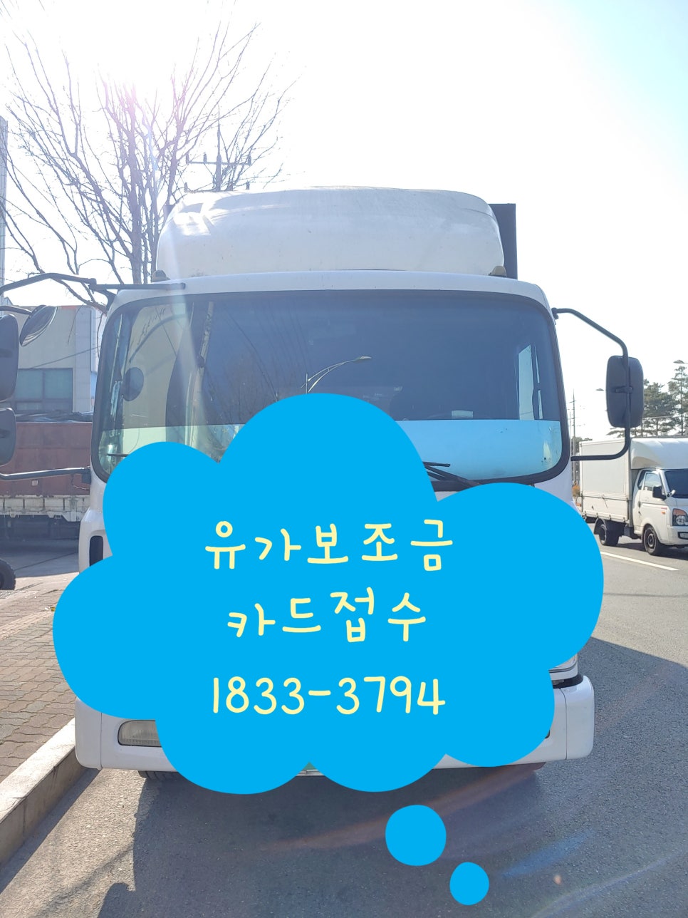 개인화물282 이미지