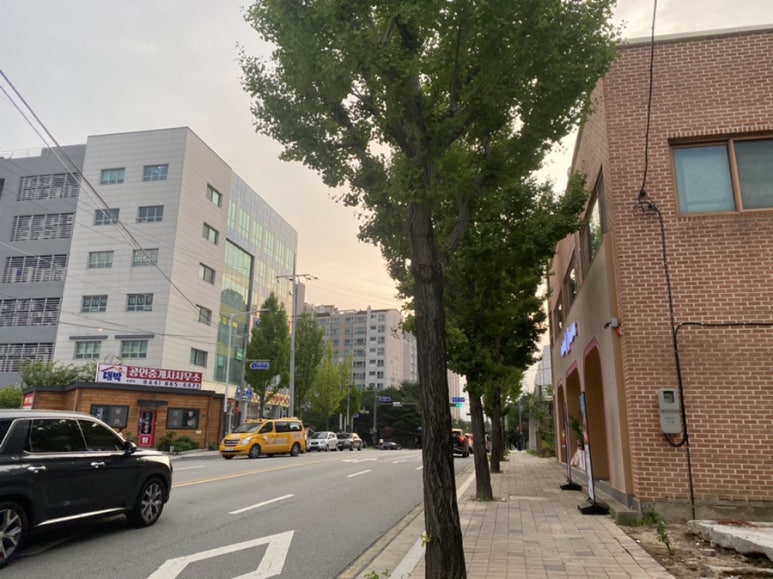 배스킨라빈스조치원 이미지