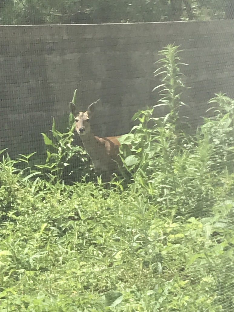 세광양대창제주연동점 이미지