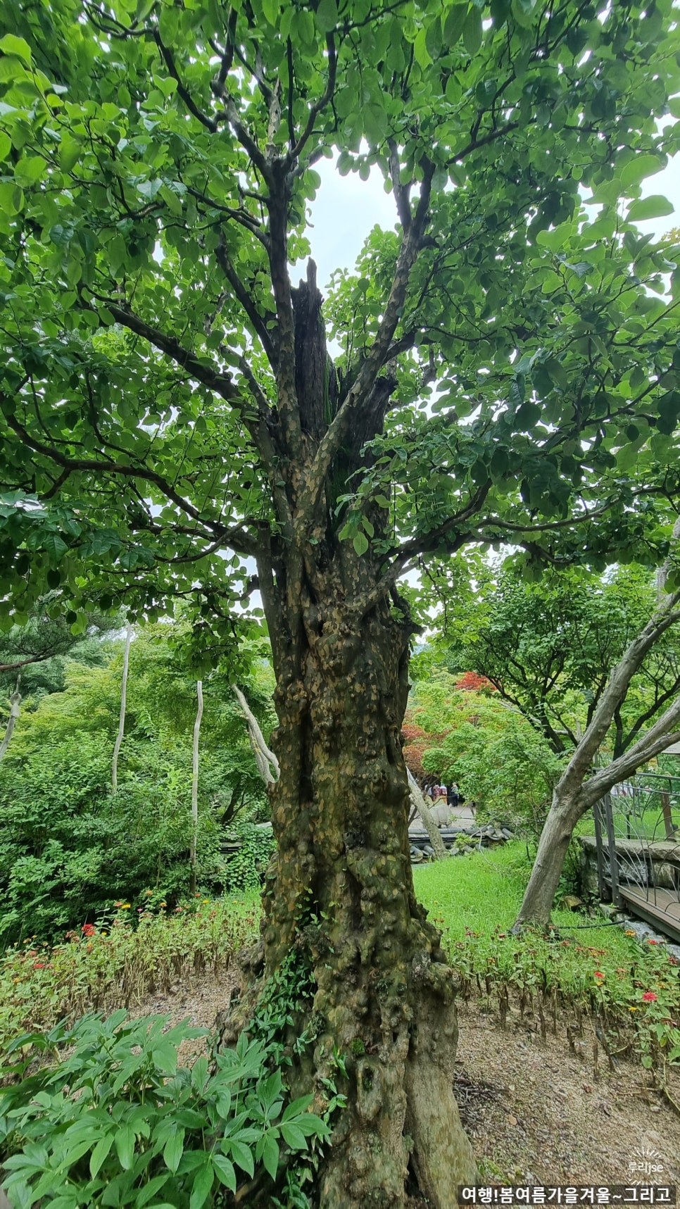 정원운수 이미지