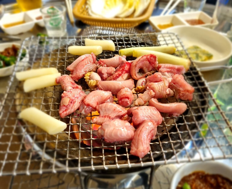 이원아나고곰장어 이미지