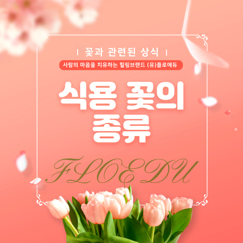 플라워에듀 이미지