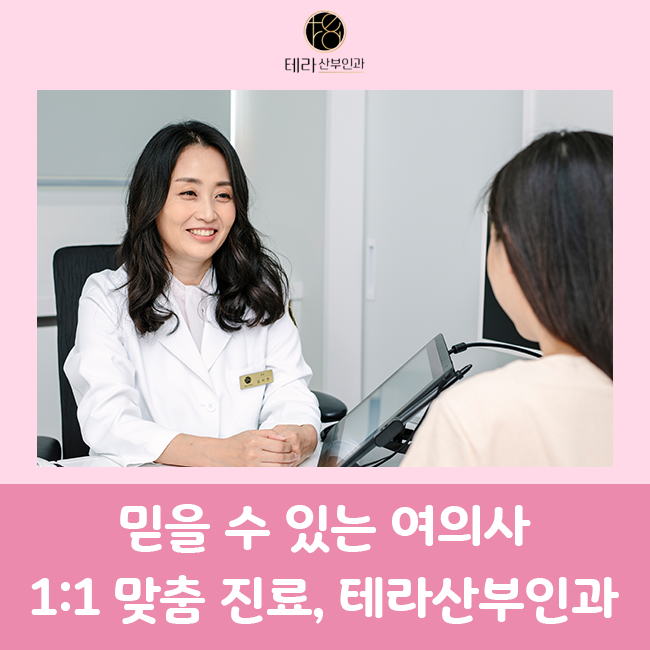 테라화성 이미지