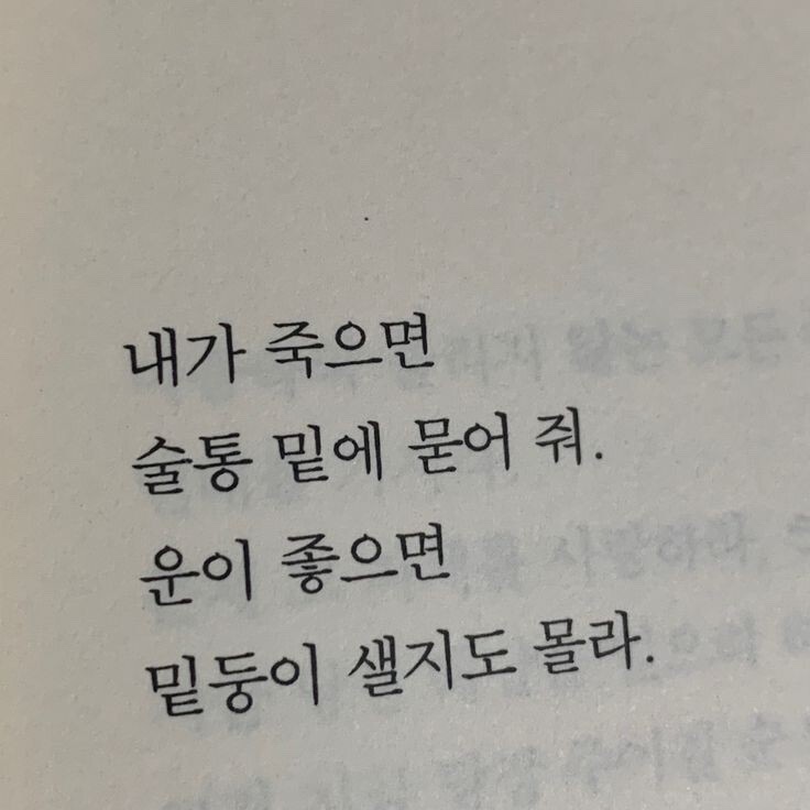 밥.술 이미지