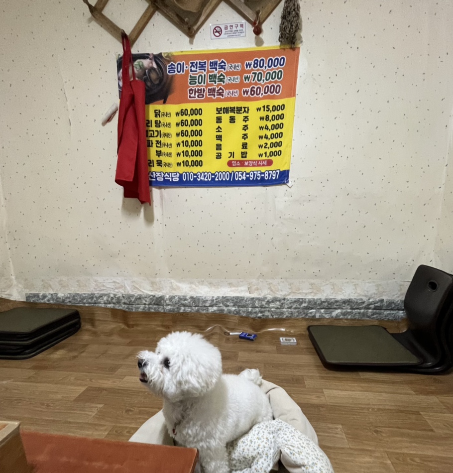뭐길래산장식당 이미지