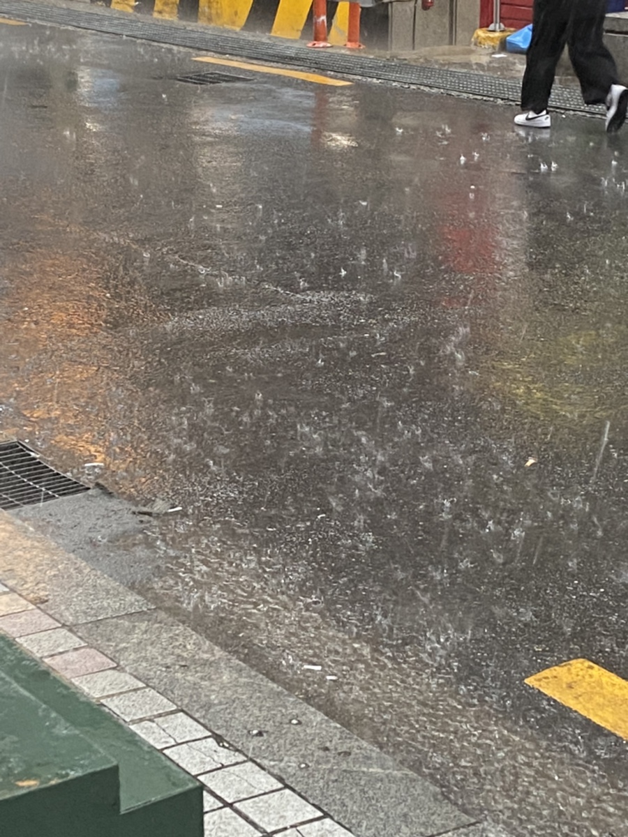 파스쿠찌원주봉화산점 이미지