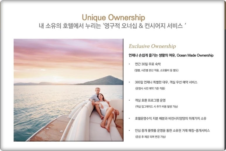 양양플랫폼 이미지
