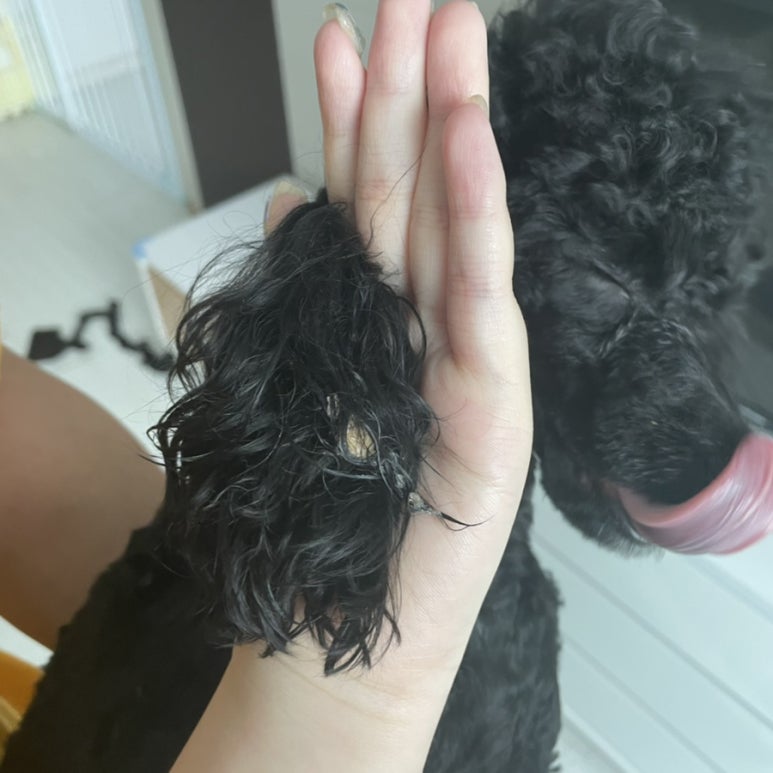 이산찐빵 이미지