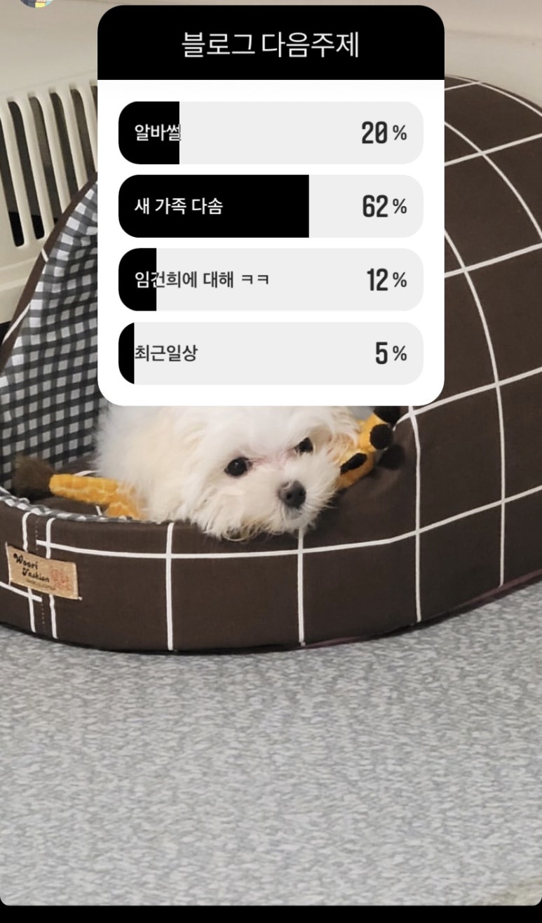 임다솜 이미지