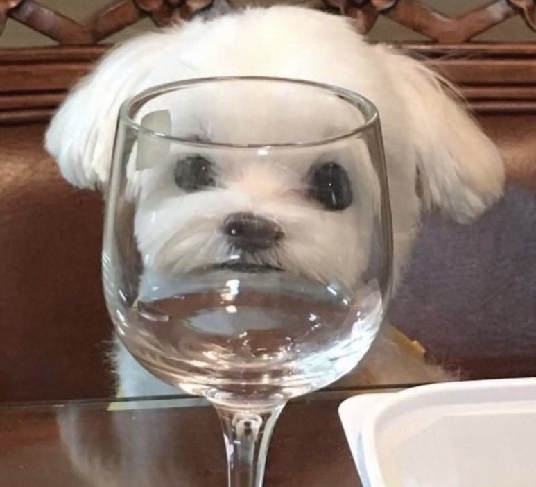 진짜 이미지